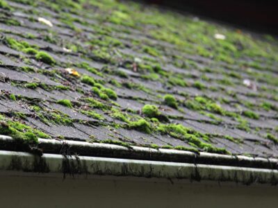 Chipstead roof moss removal