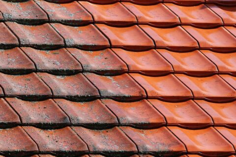 Roof Cleaner Chipstead