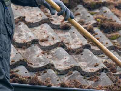 Chipstead roof cleaning
