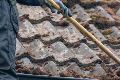 Dartford Roof Moss Removal Experts