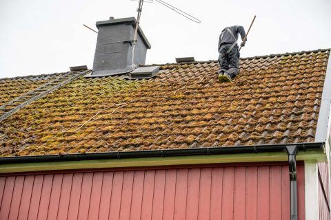 Roof Cleaning & Coating Dartford