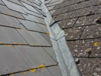 Chipstead roof moss remover