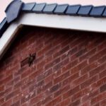Fascia soffits replacement Dartford