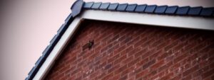 Fascia soffits replacement Dartford