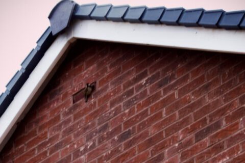 Fascia & Soffits Dartford