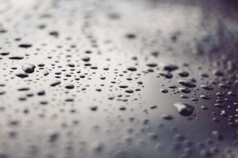 Professional Damp Proofing in Dartford